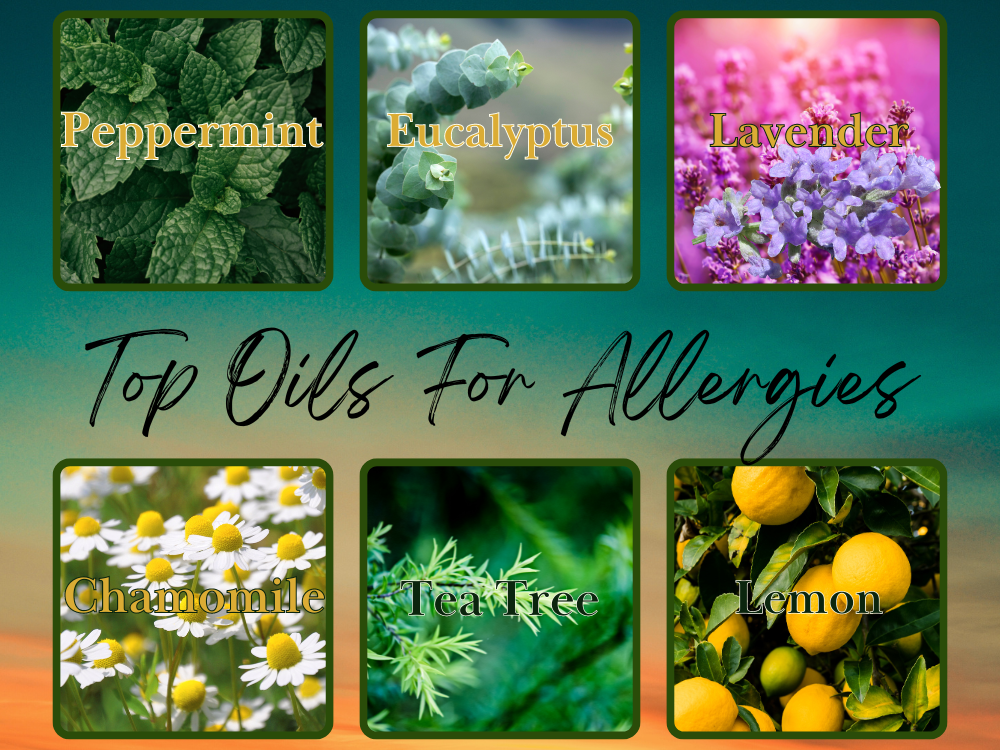 Top Oils For Allergies